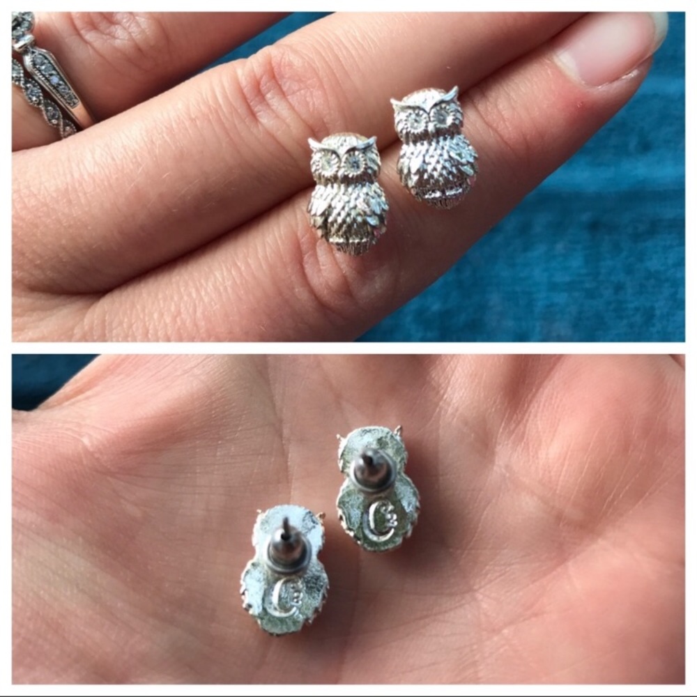 Origami owl earrings